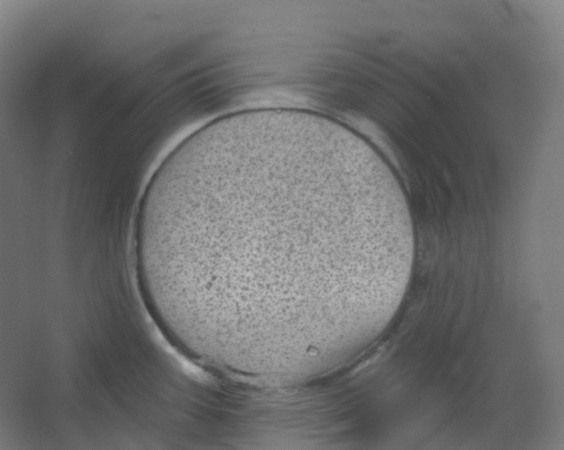 X0000066931387200604141946