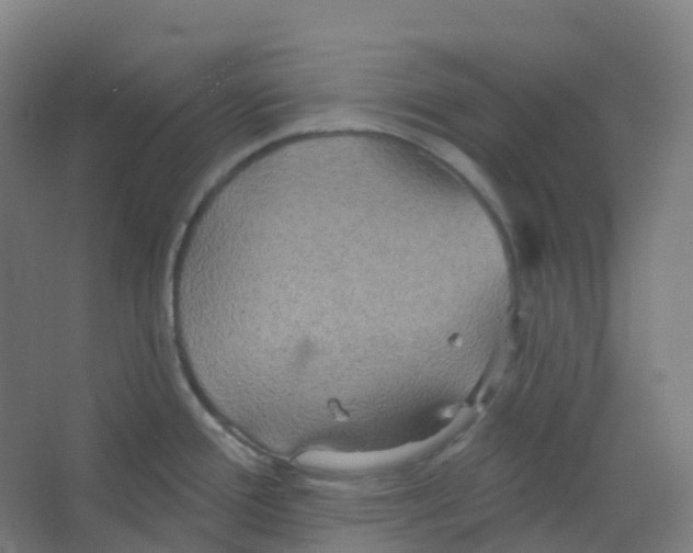 X0000066931388200604141946