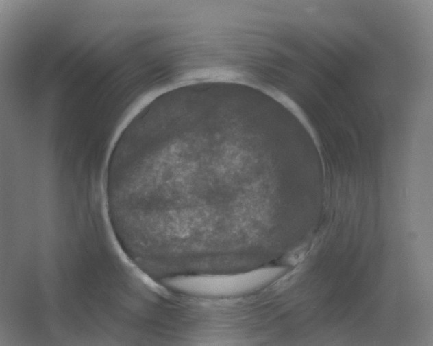 X0000066931389200604141946