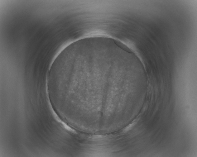 X0000066931390200604141946