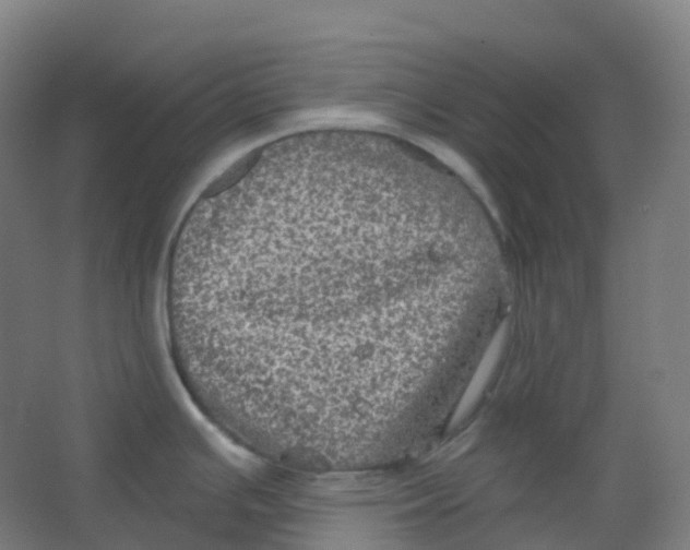 X0000066931391200604141946