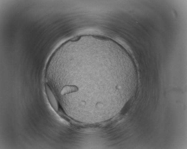 X0000066931392200604141946