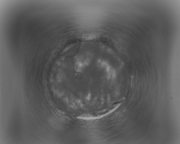 X0000066931393200604141946