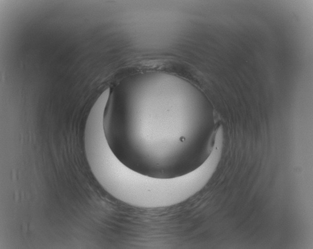 X0000066931394200604141946