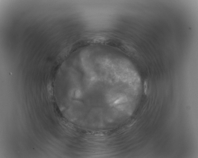 X0000066931395200604141946