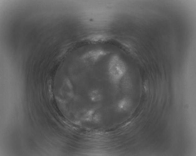 X0000066931396200604141946