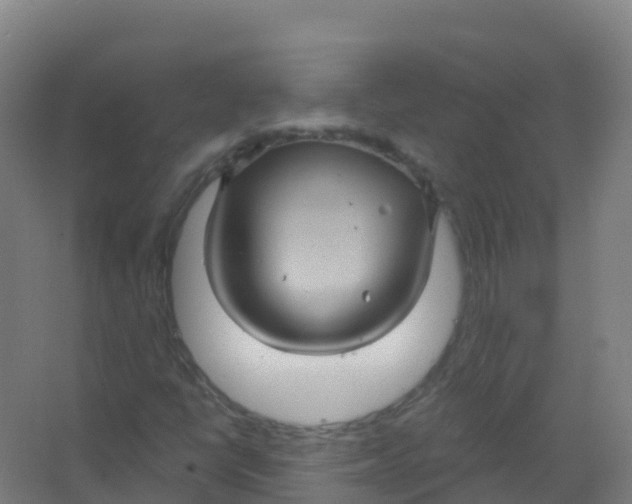 X0000066931398200604141946