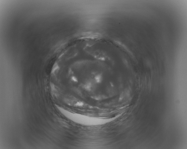 X0000066931399200604141946