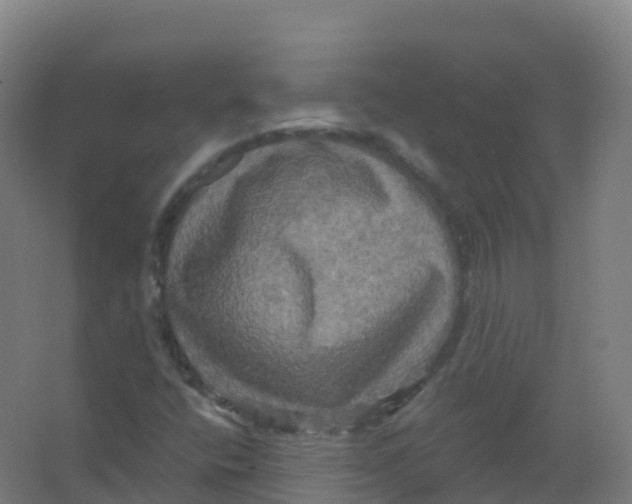 X0000066931400200604141946