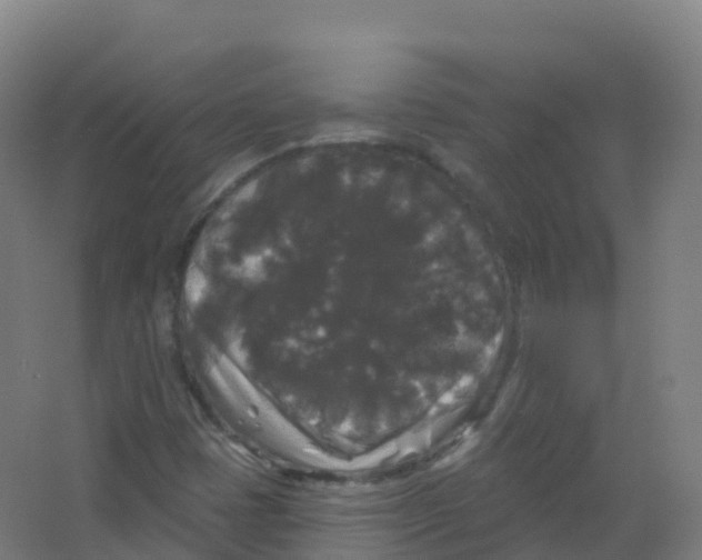 X0000066931401200604141946