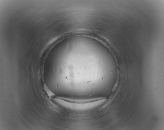 X0000066931402200604141946