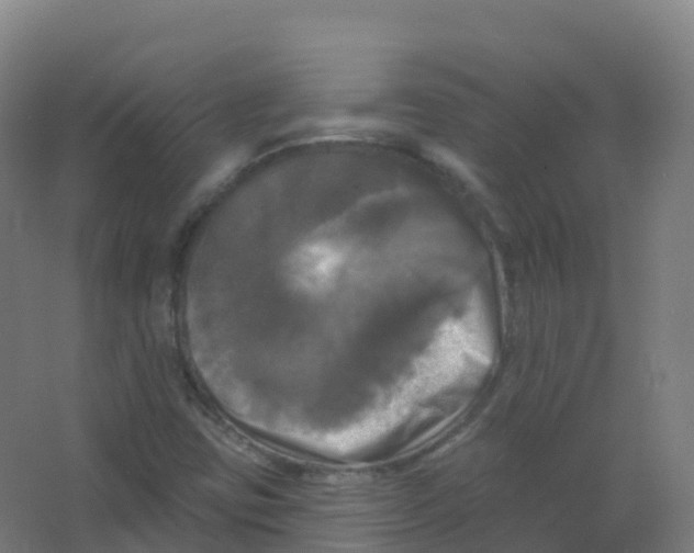 X0000066931403200604141946