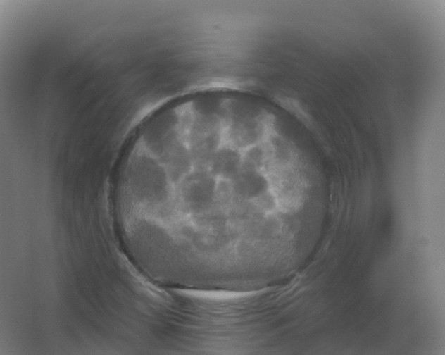 X0000066931404200604141946