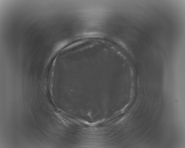 X0000066931405200604141946