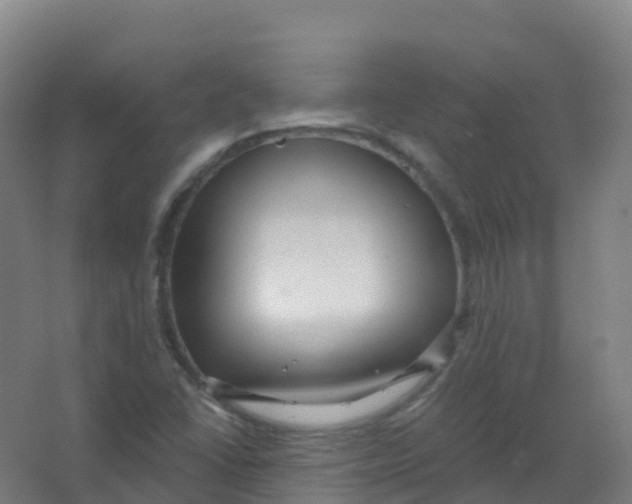 X0000066931406200604141946