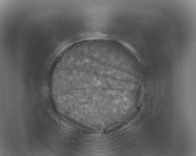 X0000066931407200604141946