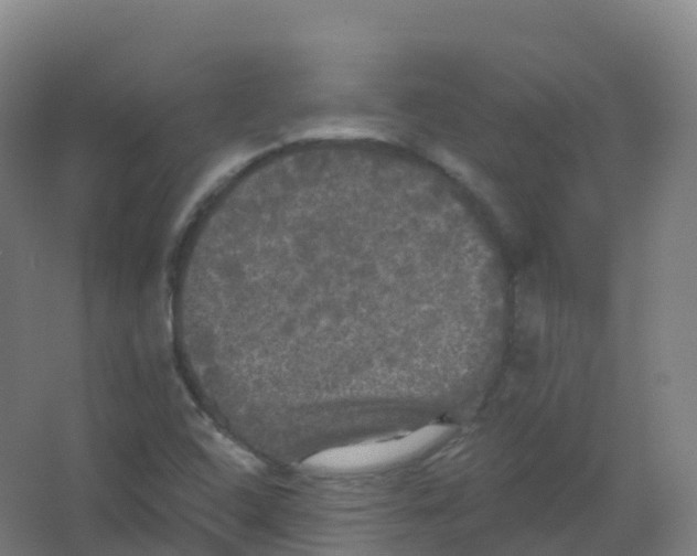 X0000066931408200604141946