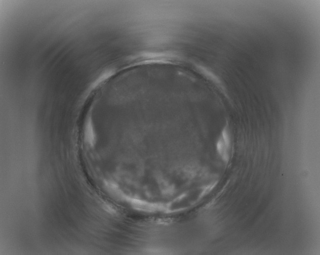 X0000066931411200604141946