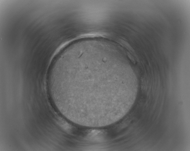 X0000066931412200604141946