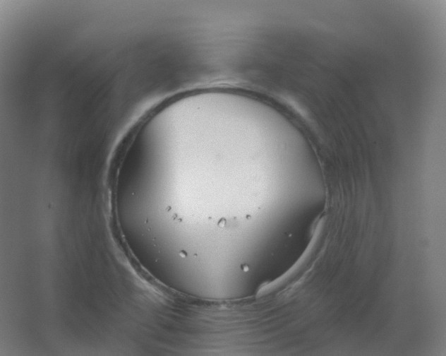 X0000066931414200604141946