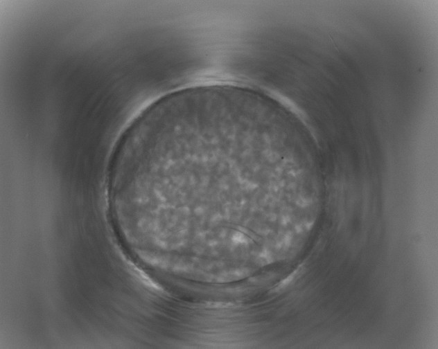 X0000066931415200604141946