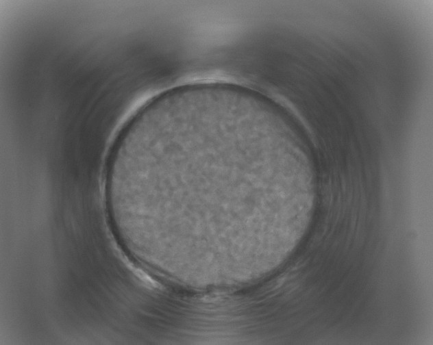 X0000066931416200604141946