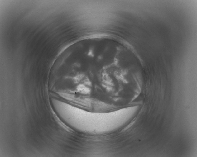 X0000066931417200604141946