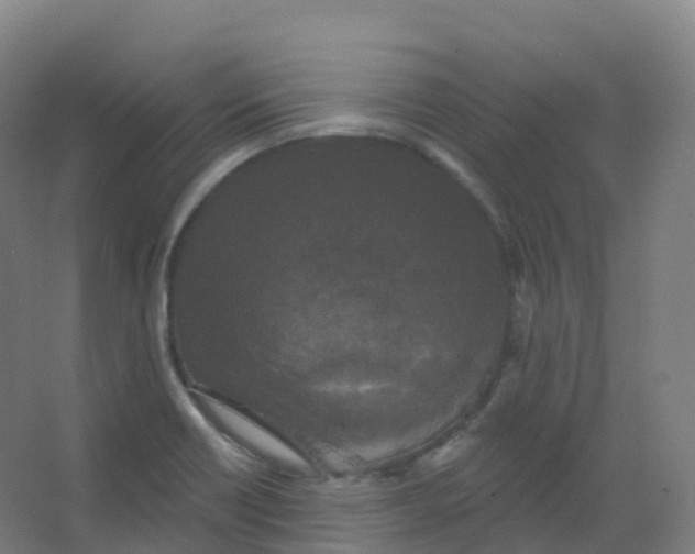 X0000066931418200604141946