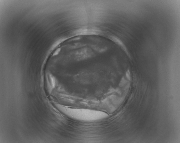 X0000066931419200604141946