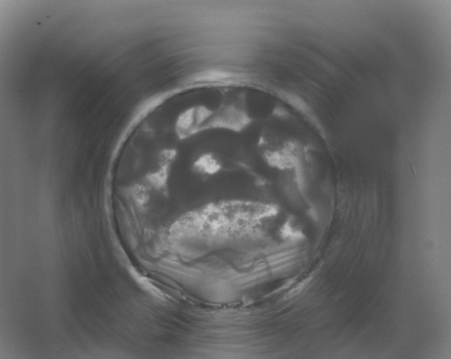 X0000066931421200604141946