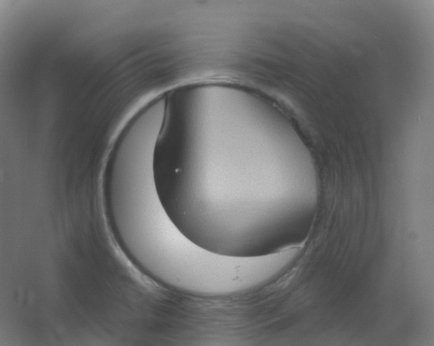 X0000066931422200604141946