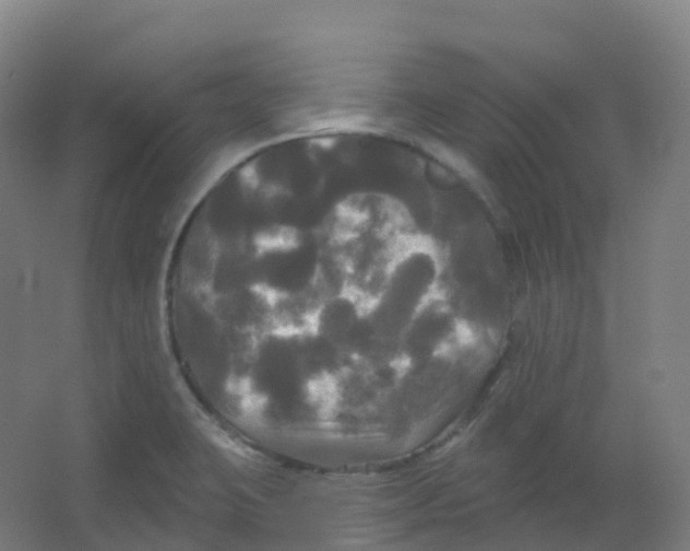 X0000066931423200604141946