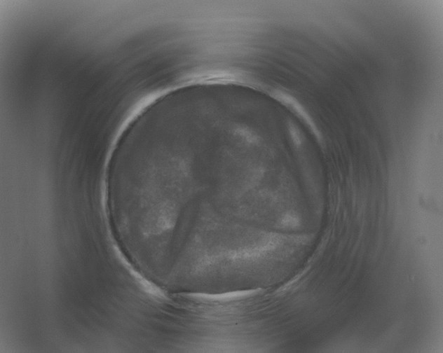 X0000066931424200604141946