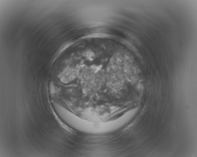 X0000066931425200604141946