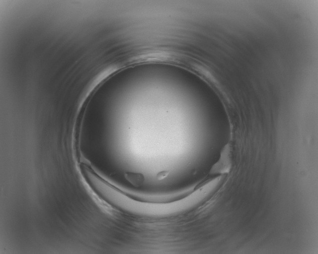 X0000066931426200604141946