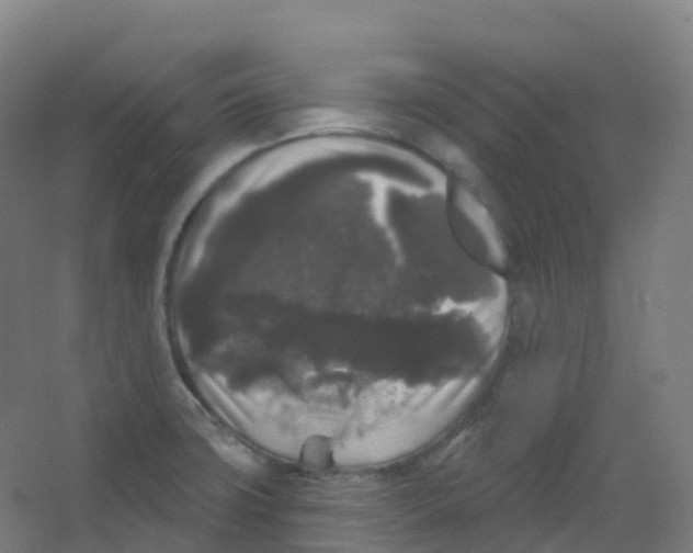 X0000066931427200604141946