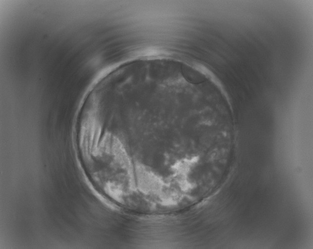 X0000066931429200604141946