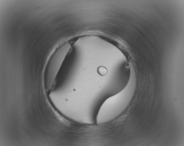 X0000066931430200604141946