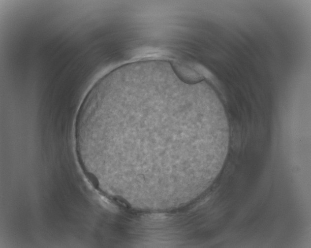 X0000066931431200604141946