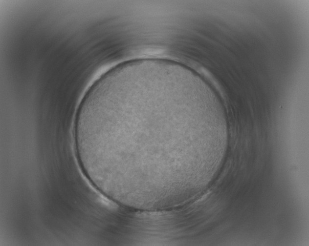 X0000066931432200604141946