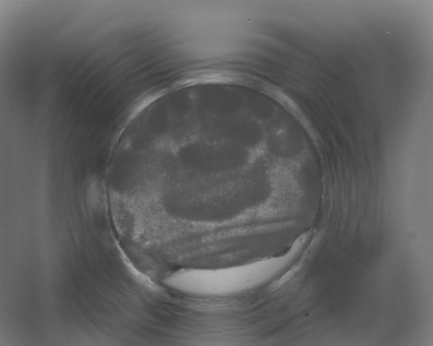 X0000066931433200604141946