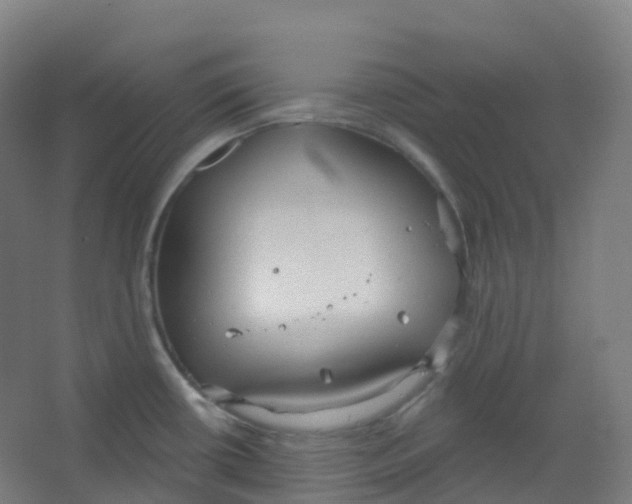 X0000066931434200604141946