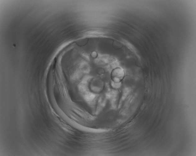 X0000066931435200604141946