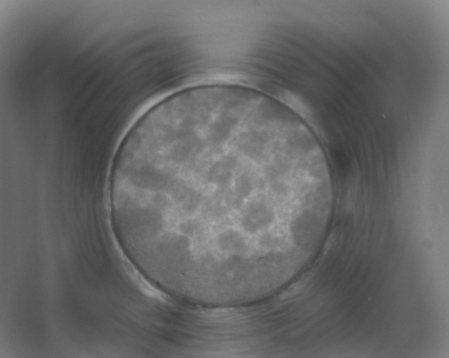 X0000066931436200604141946