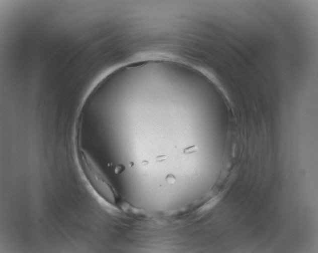 X0000066931438200604141946