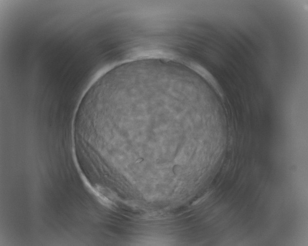 X0000066931439200604141946