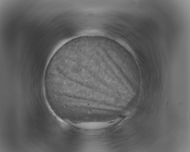 X0000066931440200604141946