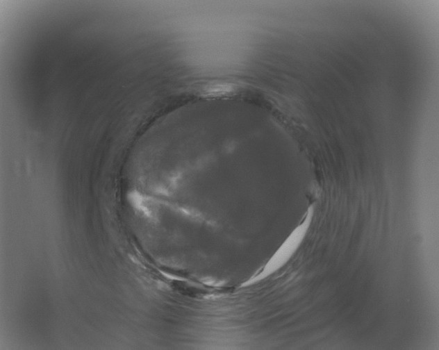 X0000066931441200604141946