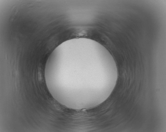 X0000066931442200604141945