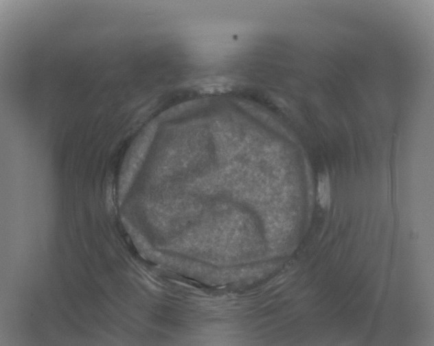 X0000066931444200604141945